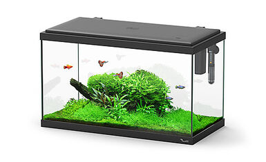 Aquatlantis - Aquarium Explorer Paris 60 - Noir Equipé