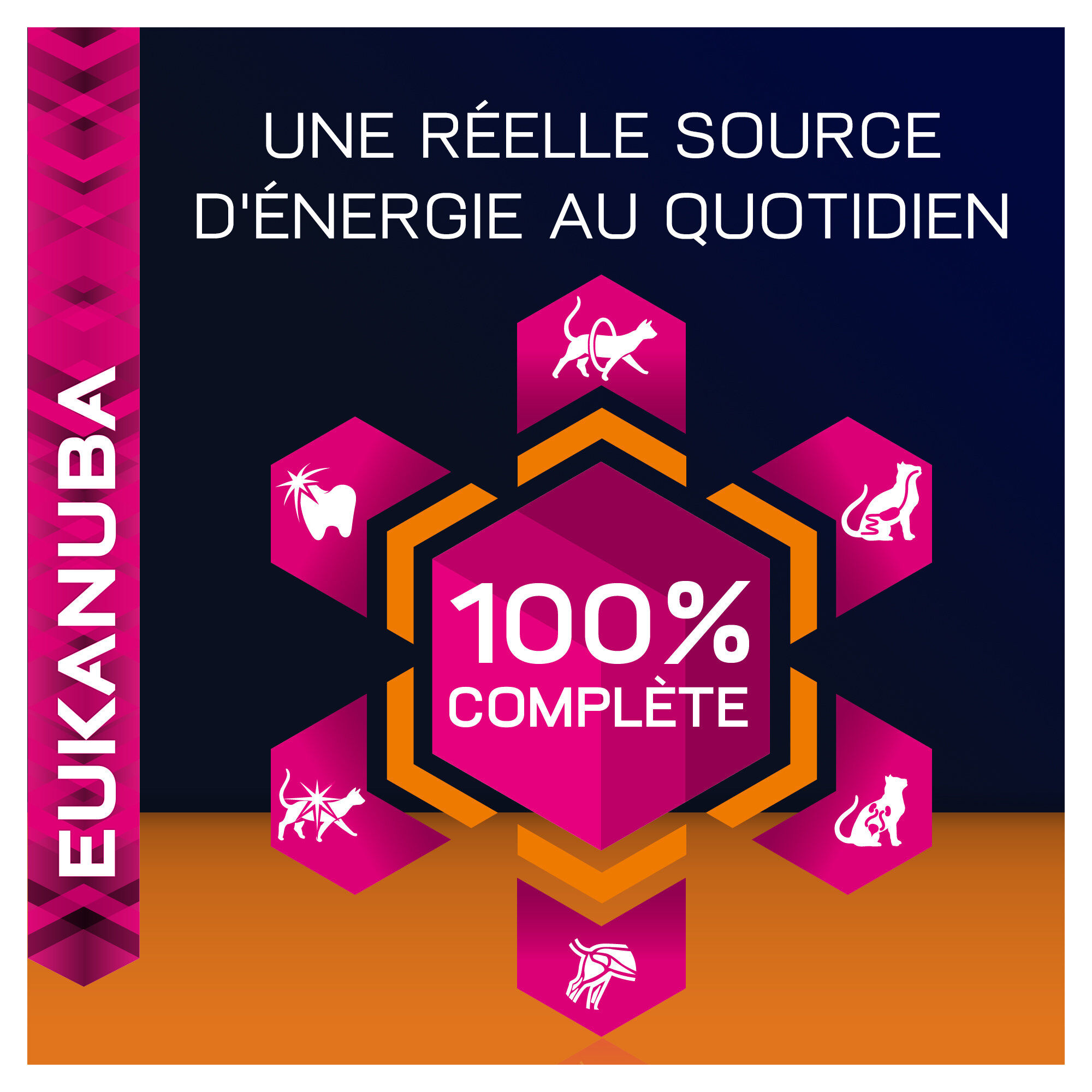 Eukanuba - Croquettes Top Condition 1+ au Poulet et Foie pour Chat Image num&eacute;ro 23