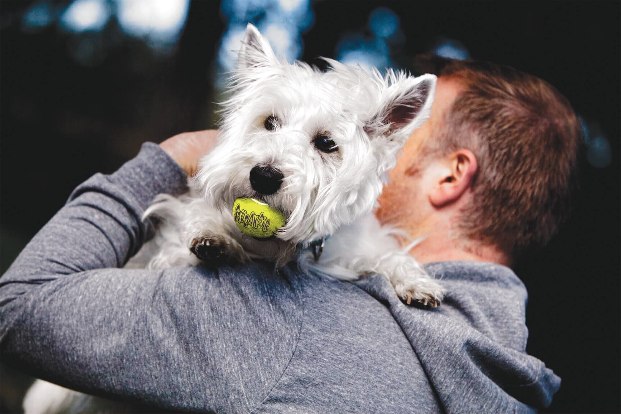Kong - Jouets Balles De Tennis Squeakair Ball pour Chien - X3 Image num&eacute;ro 3