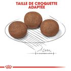 Royal Canin - Croquettes Medium Puppy pour Chiot - 10Kg image number null