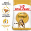 Royal Canin - Croquettes Bengal pour Chat Adulte - 2Kg Indicateur image numéro 1