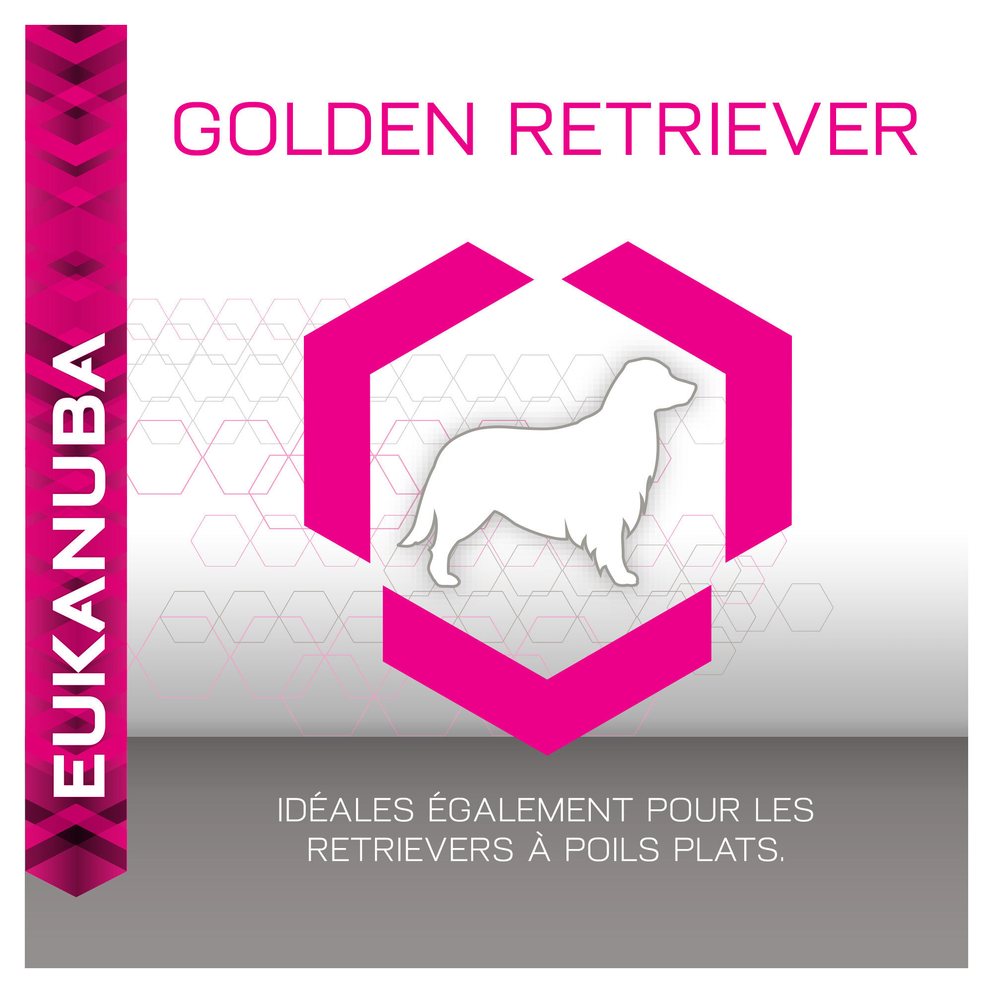 Eukanuba - Croquettes Breed Specific Golden Retriever Poulet - 12Kg Image num&eacute;ro 9