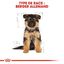 Royal Canin - Croquettes Berger Allemand Junior pour Chiot - 12Kg Indicateur image numéro 6