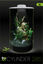 BioArt - Terrarium Cylinder 285 Led 4L pour Plantes - Blanc Indicateur image num&eacute;ro 3