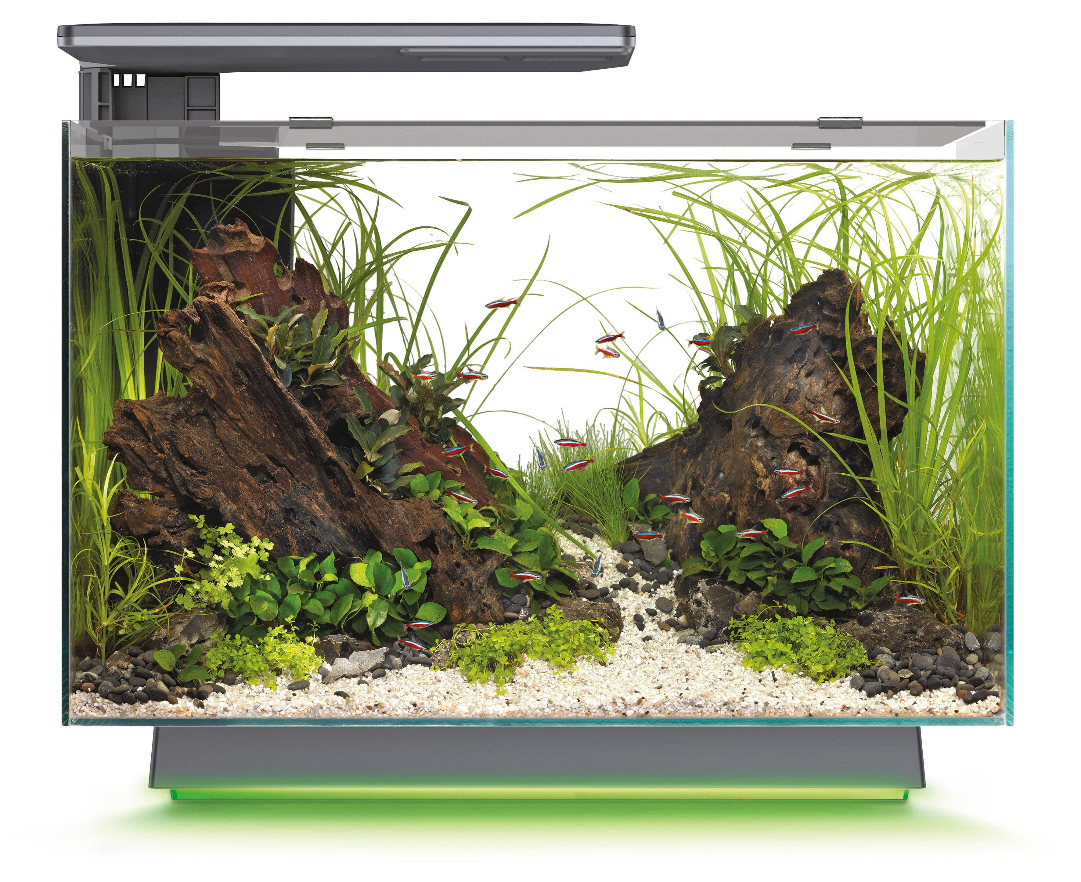 Superfish - Aquarium Design Quadro 70 Multi Colour - Noir Image num&eacute;ro 3