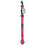 Alcott - Laisse Réglable Adventure Leash Rose pour Chien - L Indicateur image numéro 3
