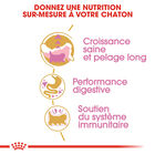 Royal Canin - Croquettes Persian Kitten pour Chatons - 2Kg image number null