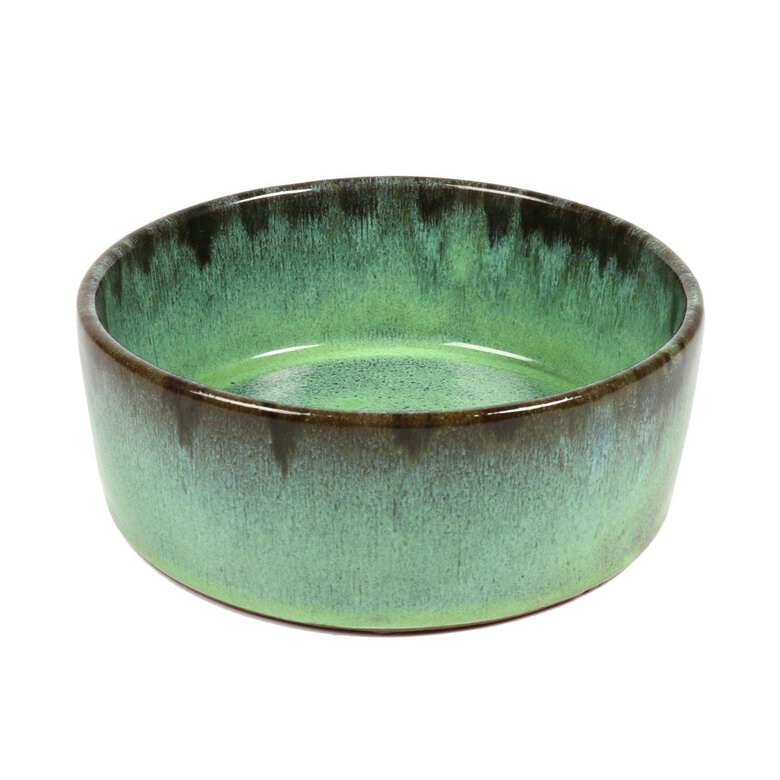 D&D - TRENDY MANGEOIRE JASPER 350ml - Ø13cm vert Image numéro 1 D&D - TRENDY MANGEOIRE JASPER 350ml - Ø13cm vert Image numéro 1