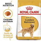 Royal Canin - Croquettes Golden Retriever pour Chien Adulte - 12Kg image number null