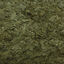 Amtra - Aliment Pro Vegetal Flake pour Poissons Tropicaux - 250ml Indicateur image num&eacute;ro 2