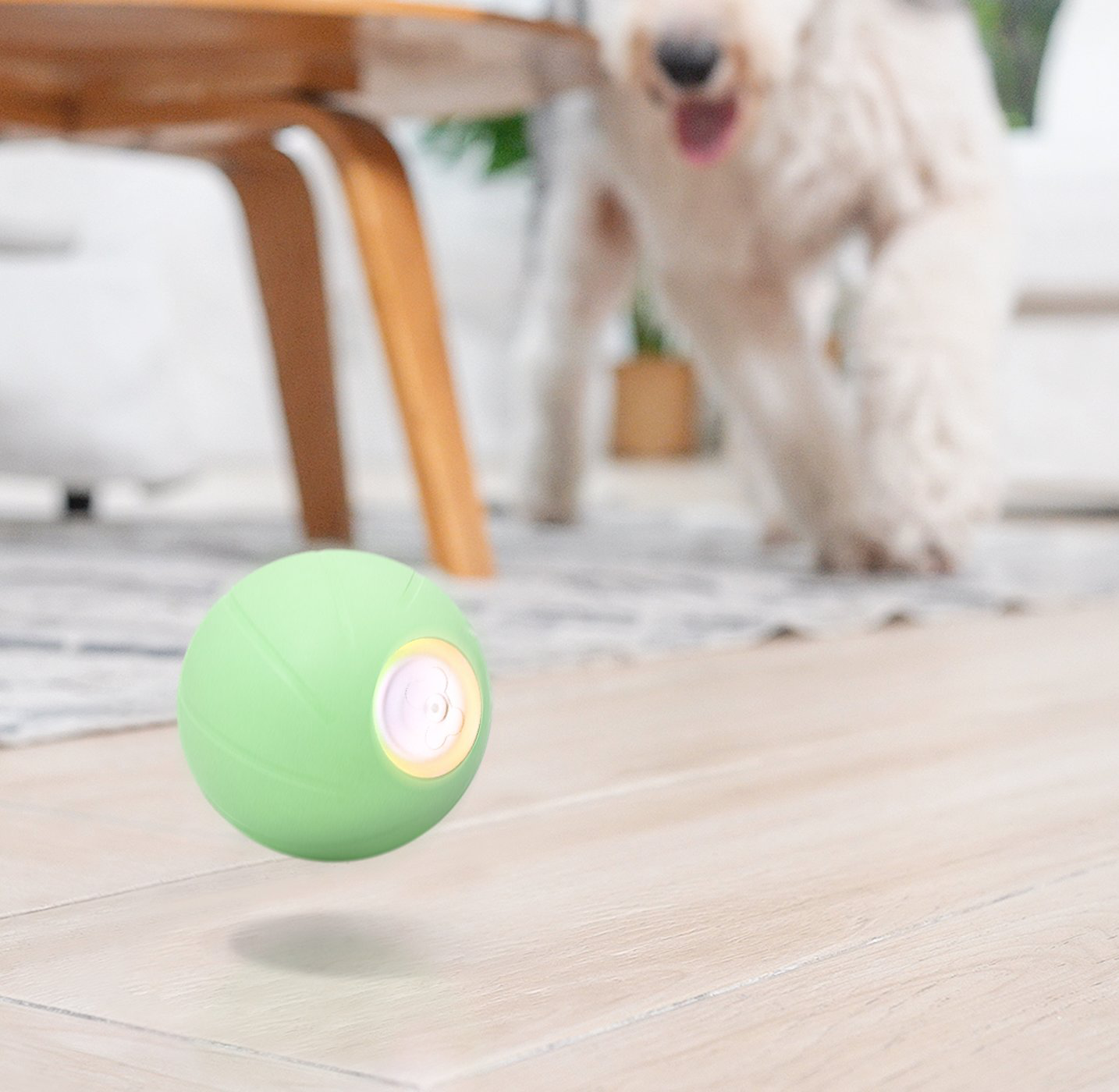 Cheerble - Balle Pelote Interactive Cheerble PE pour Chats Image num&eacute;ro 4