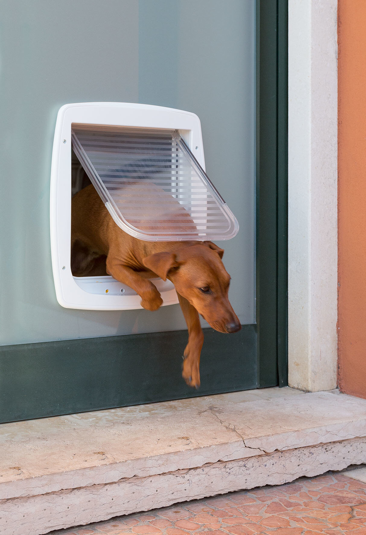 Ferplast - Chati&egrave;re Swing 11 pour Chiens - Gris Image num&eacute;ro 5