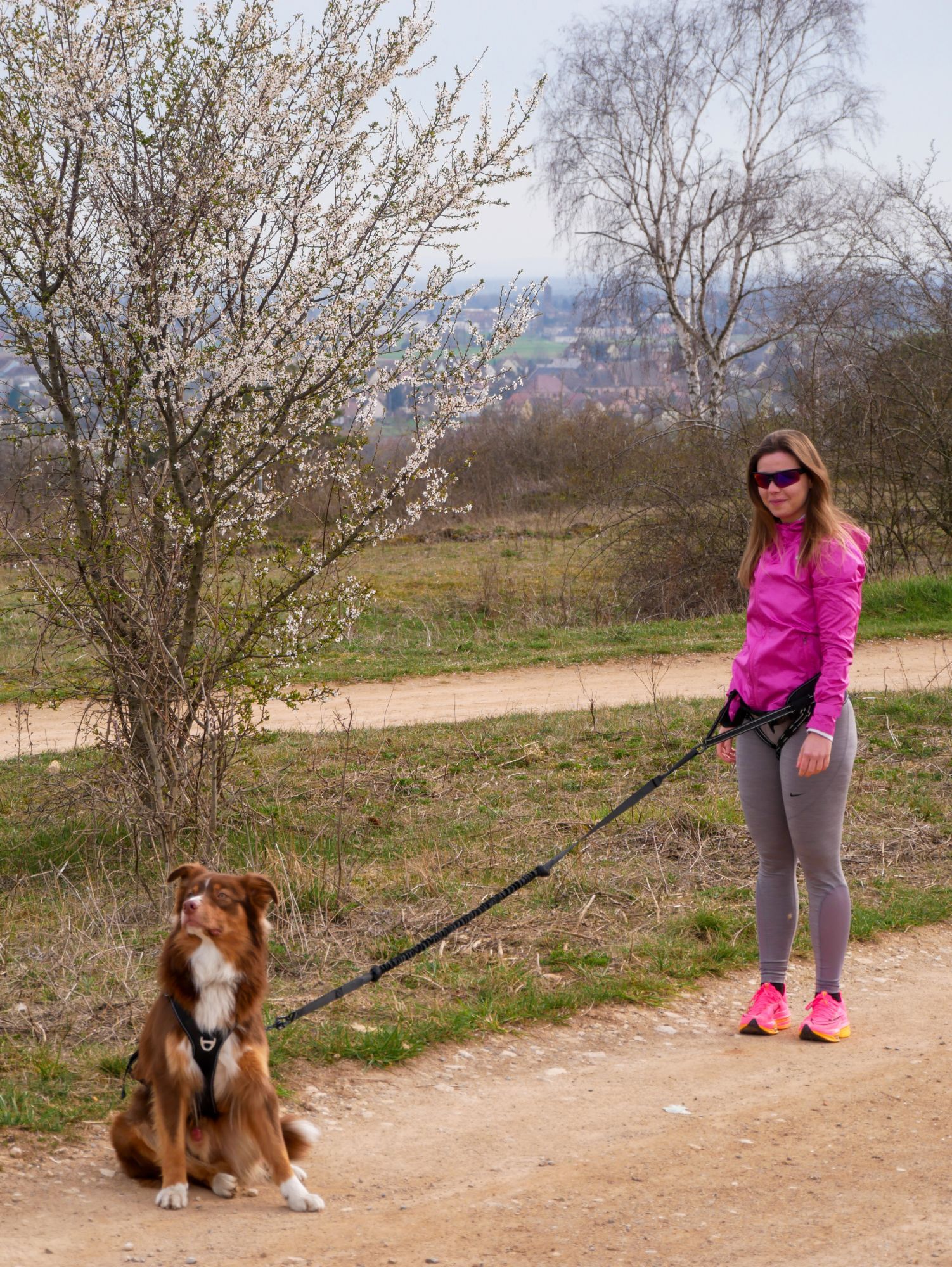 Cani Gear - Baudrier Symbioz pour Chiens Image num&eacute;ro 3