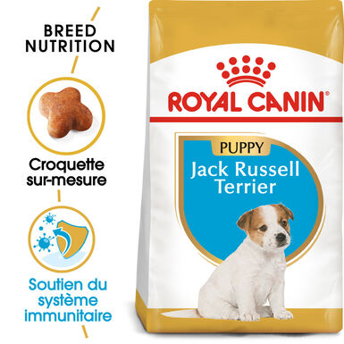 Royal Canin - Croquettes PUPPY JACK RUSSELL TERRIER pour Chiots - 1,5KG