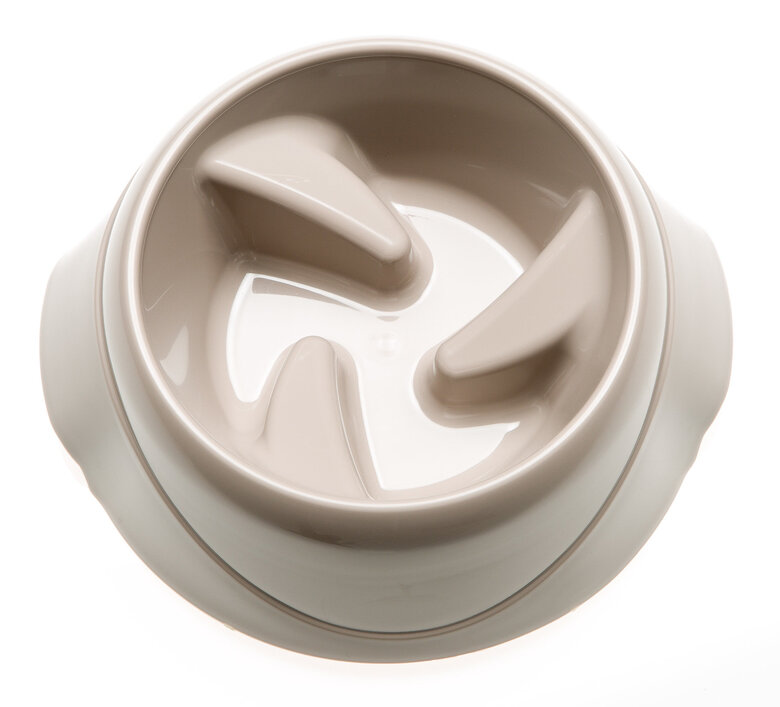 Ferplast - Ecuelle Anti-glouton Magnus Slow Gris - S Image numéro 3 Ferplast - Ecuelle Anti-glouton Magnus Slow Gris - S Image numéro 3