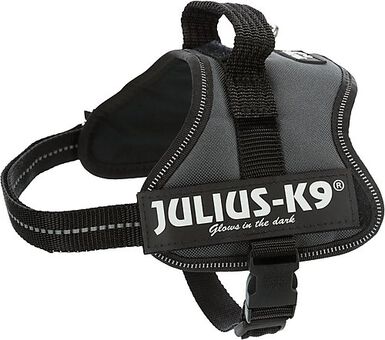 Julius-K9 - Harnais Mini-Mini XS de 40-53cm pour Chien - Anthracite