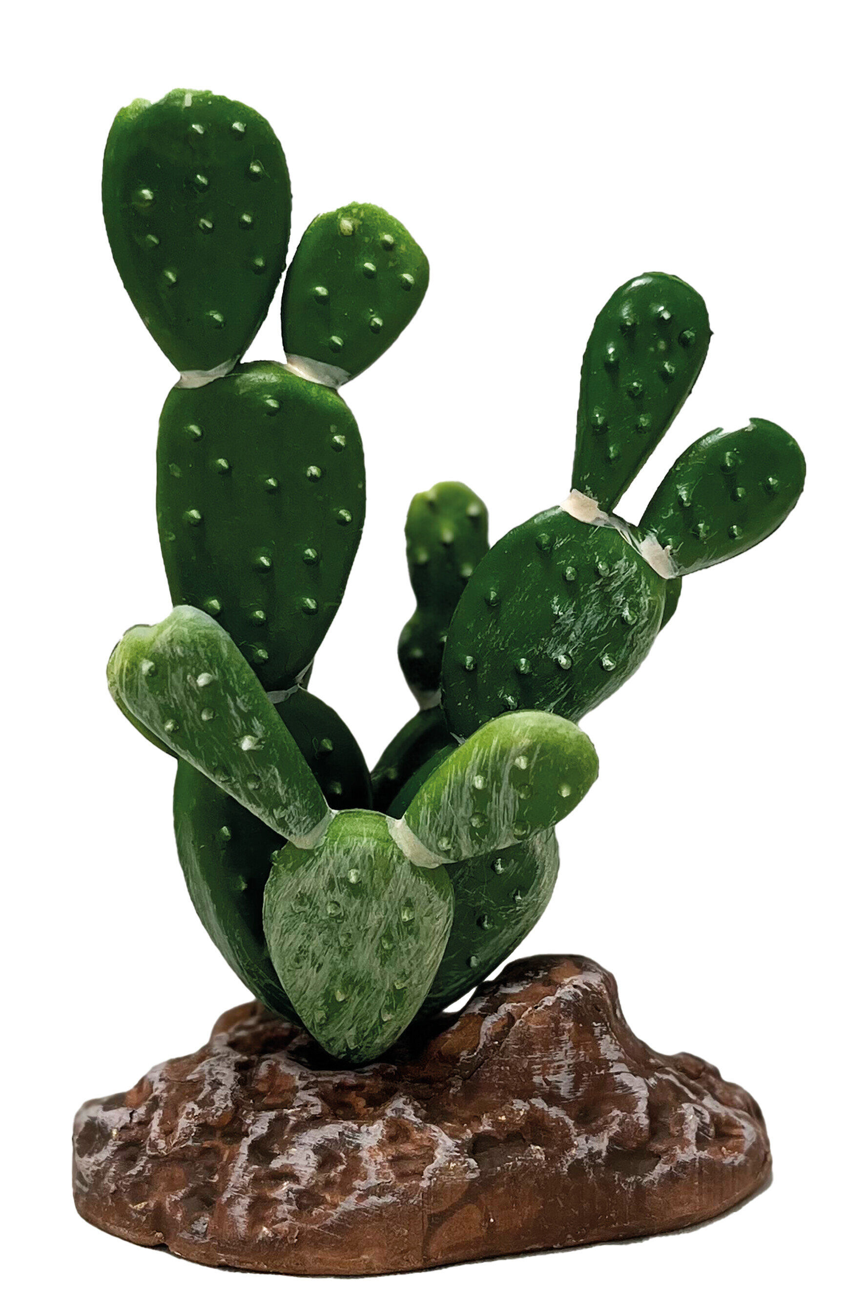 Repto - D&eacute;coration Repto Plant Cactus Opuntia - R&eacute;ptiles Image num&eacute;ro 1
