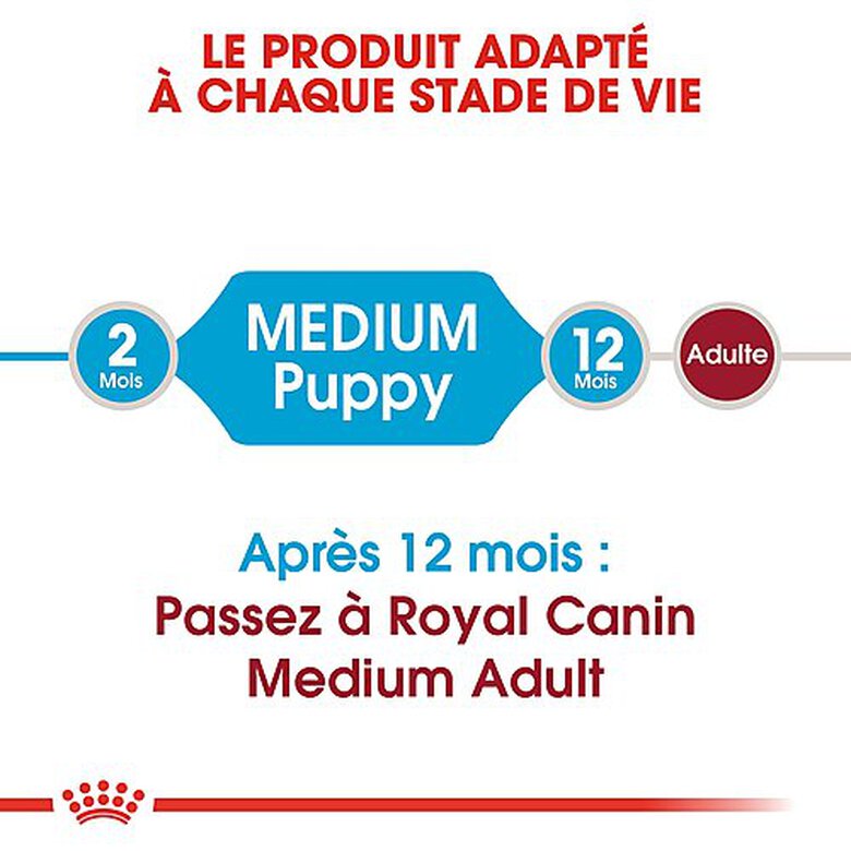 Royal Canin - Croquettes Medium Puppy pour Chiot - 15Kg image number null