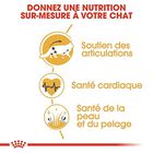 Royal Canin - Croquettes Maine Coon pour Chat Adulte - 4Kg image number null