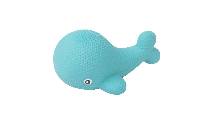 Tootoy! - Mini Baleine Chiot Image numéro 1 Tootoy! - Mini Baleine Chiot Image numéro 1