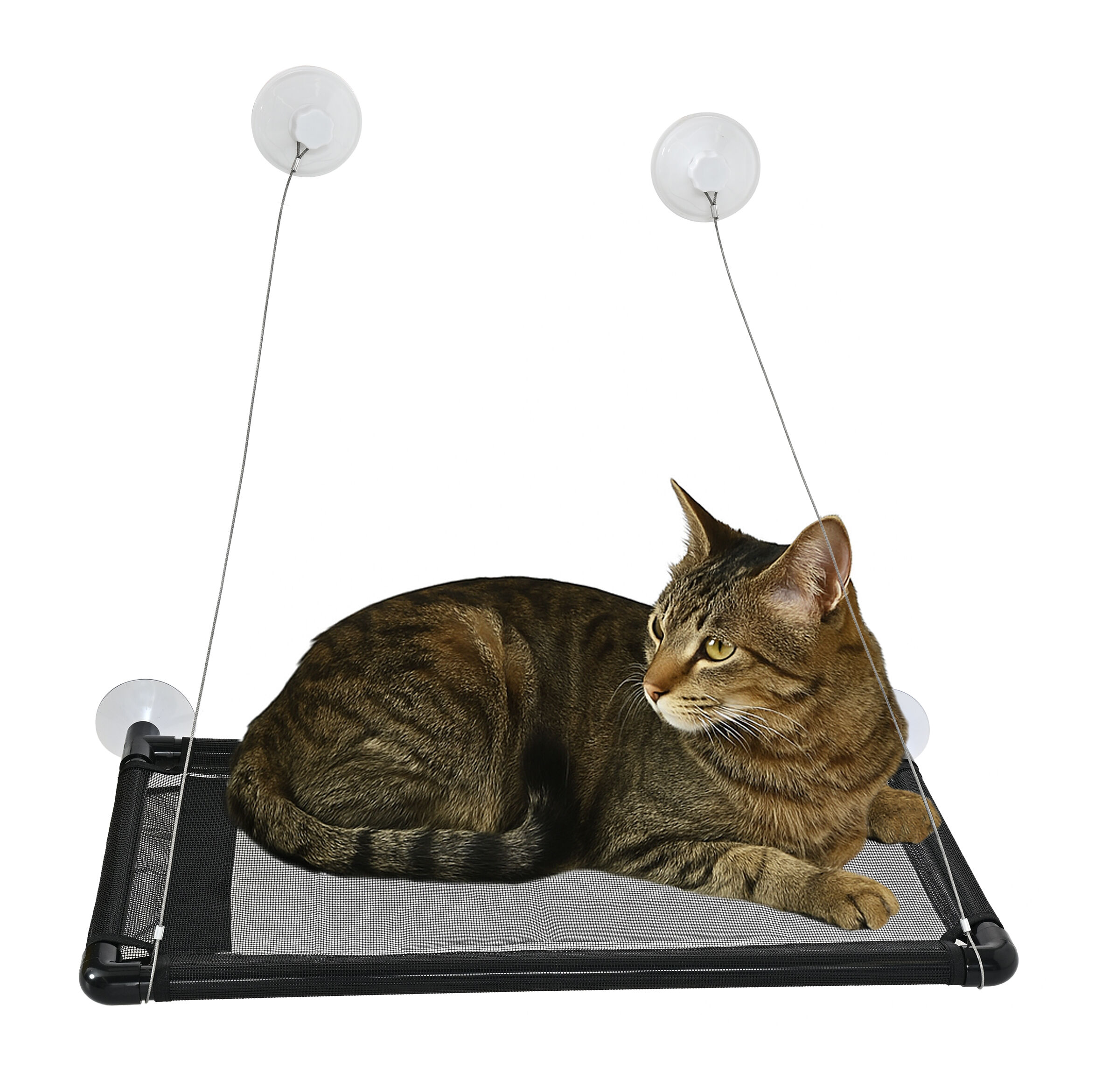 Leeby - Hamac de Fen&ecirc;tre pour Chats - Noir Image num&eacute;ro 1