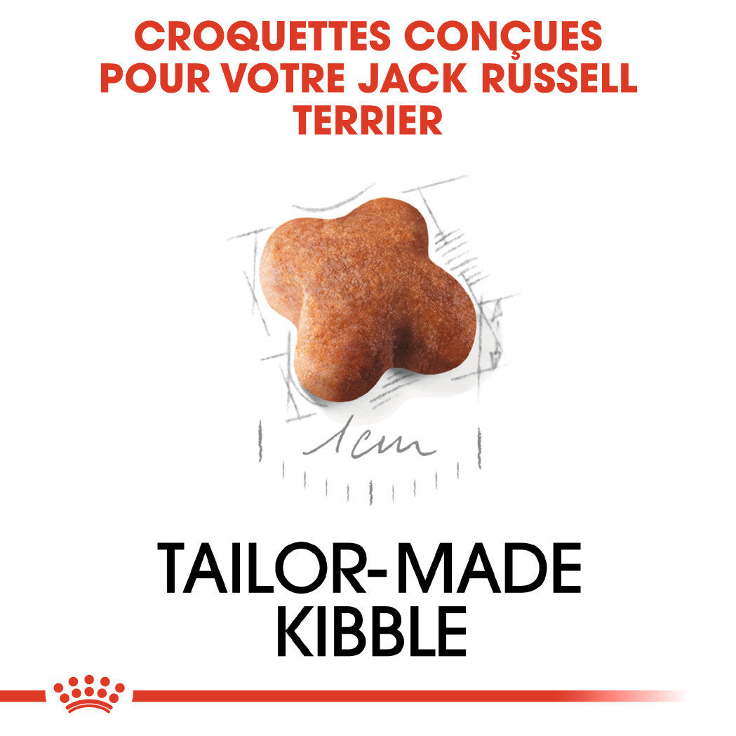 Royal Canin - Croquettes Jack Russell Junior - 3Kg Image num&eacute;ro 4