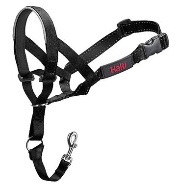 Company of Animals - Licol Halti pour Chien