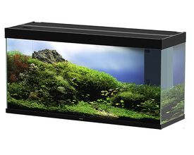 Ciano - Aquarium Emotions Nature Pro 120 - Noir