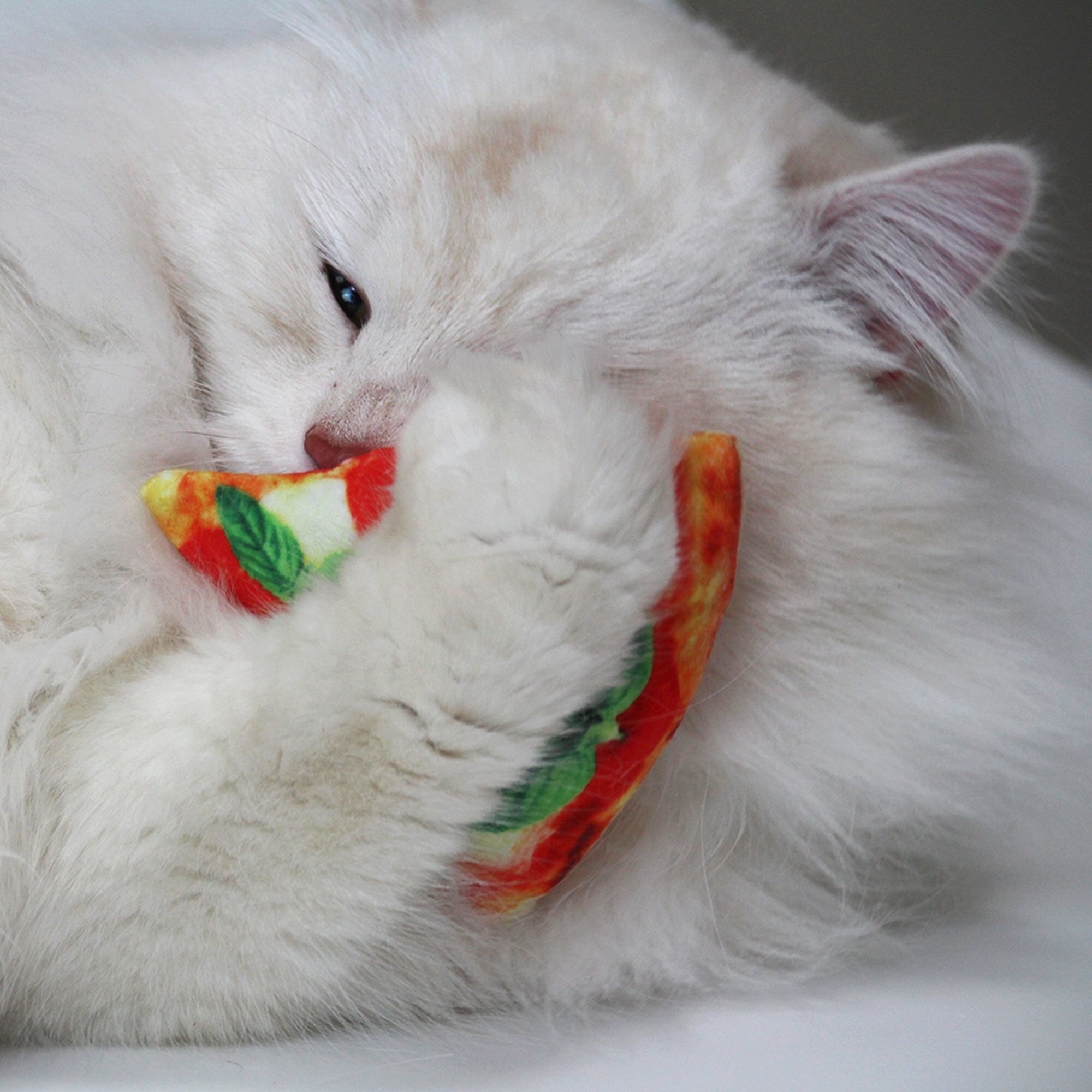 Croci - Jeu BAKERY Pizza Catnip pour Chat - 8cm Image num&eacute;ro 3