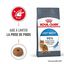 Royal Canin - Croquettes Light Weight Care pour Chat - 400g Indicateur image numéro 1