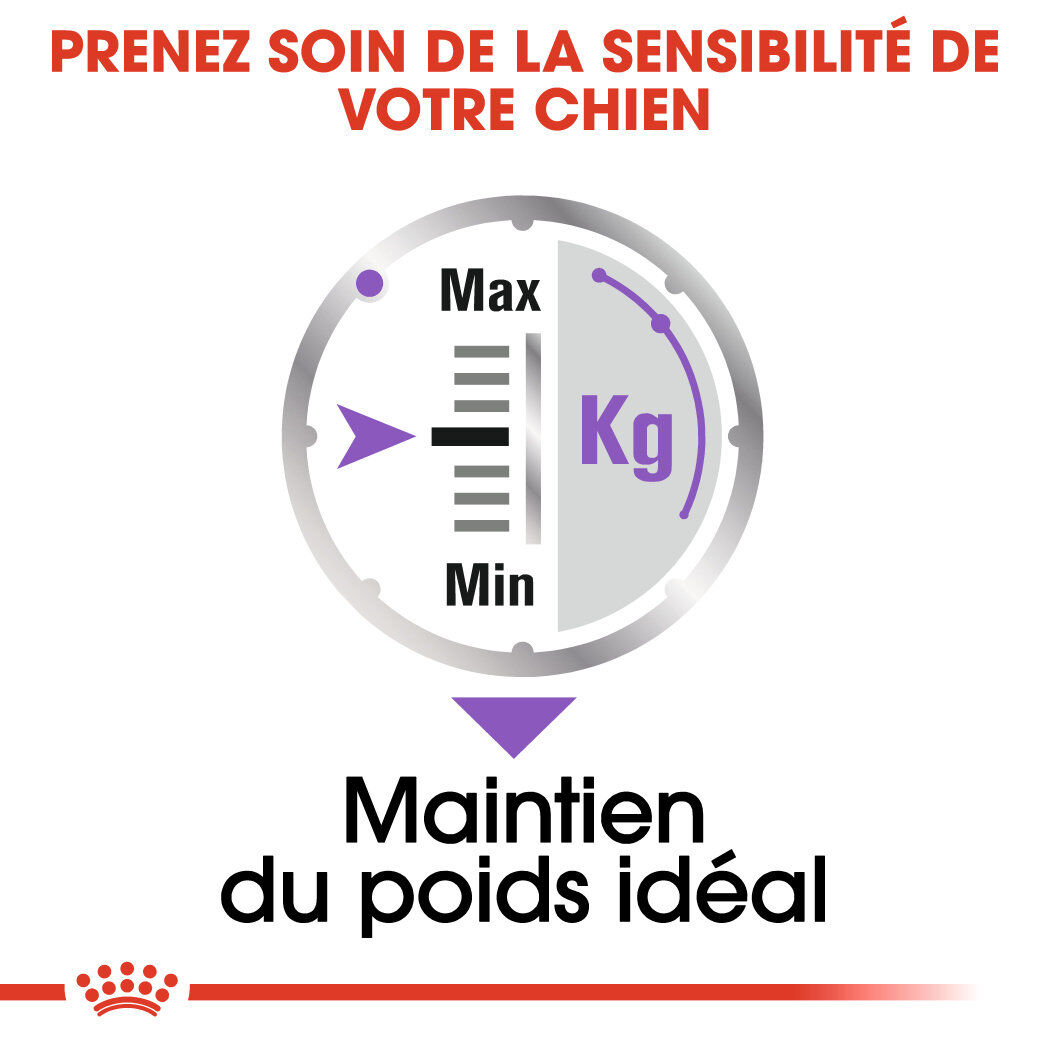 Royal Canin - Sachets Sterilised en Mousse pour Chien - 12X85g Image num&eacute;ro 5