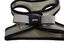 Gotoo - Harnais en Mesh Gris pour Chien - XS Indicateur image numéro 3