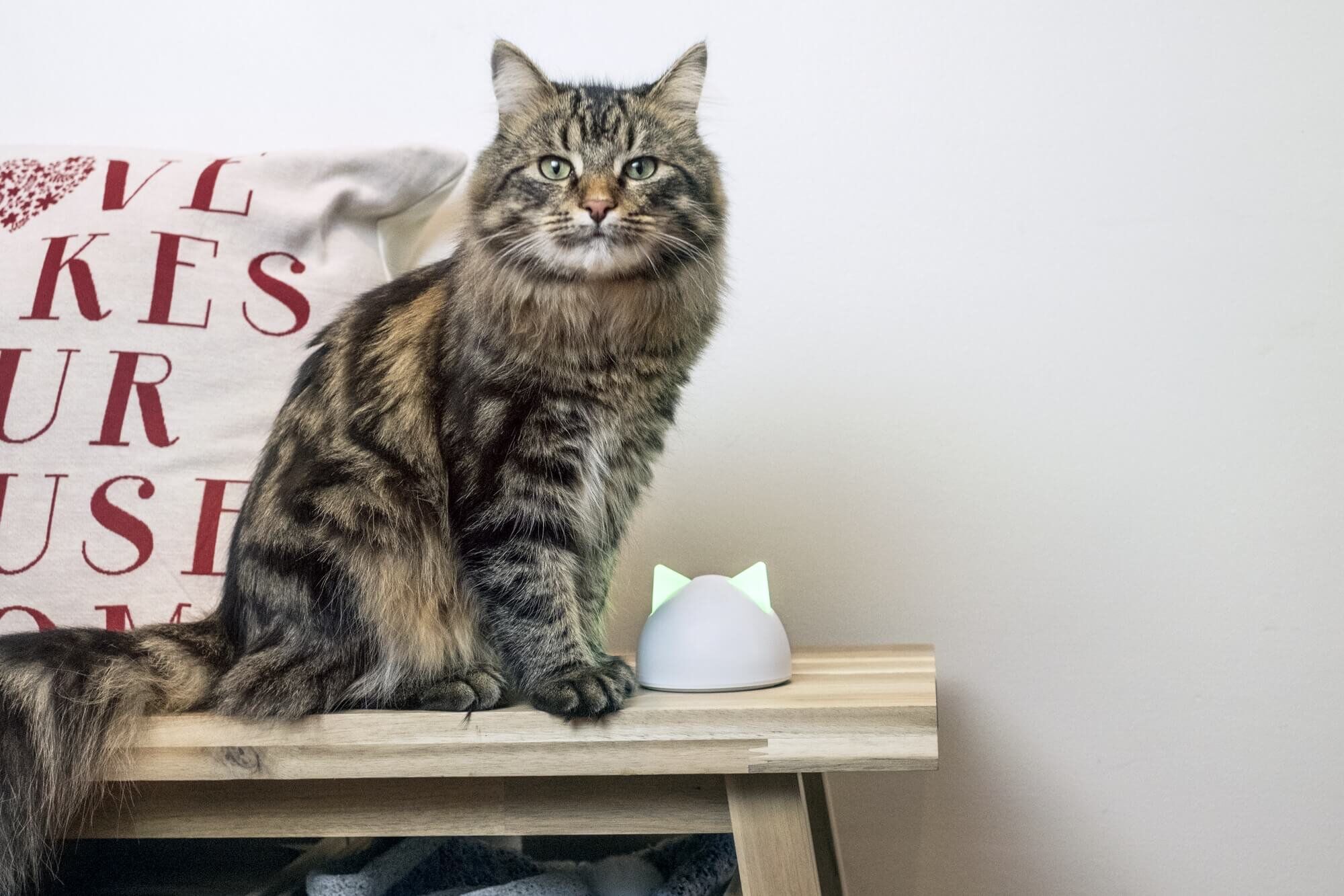 Sure PetCare - Hub pour Chati&egrave;re Connect Image num&eacute;ro 3