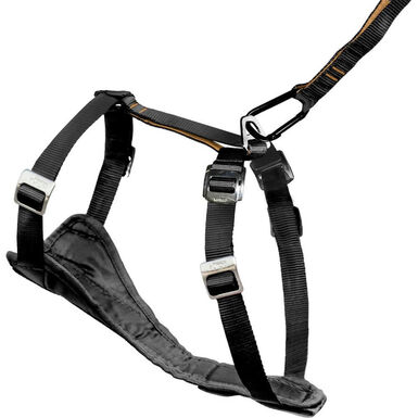 Kurgo - Harnais Transport et Marche Sécurité Tru-Fit pour Chien