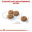 Royal Canin - Croquettes Mini Sterilised pour Chien Stérilisé - 8Kg Indicateur image numéro 5