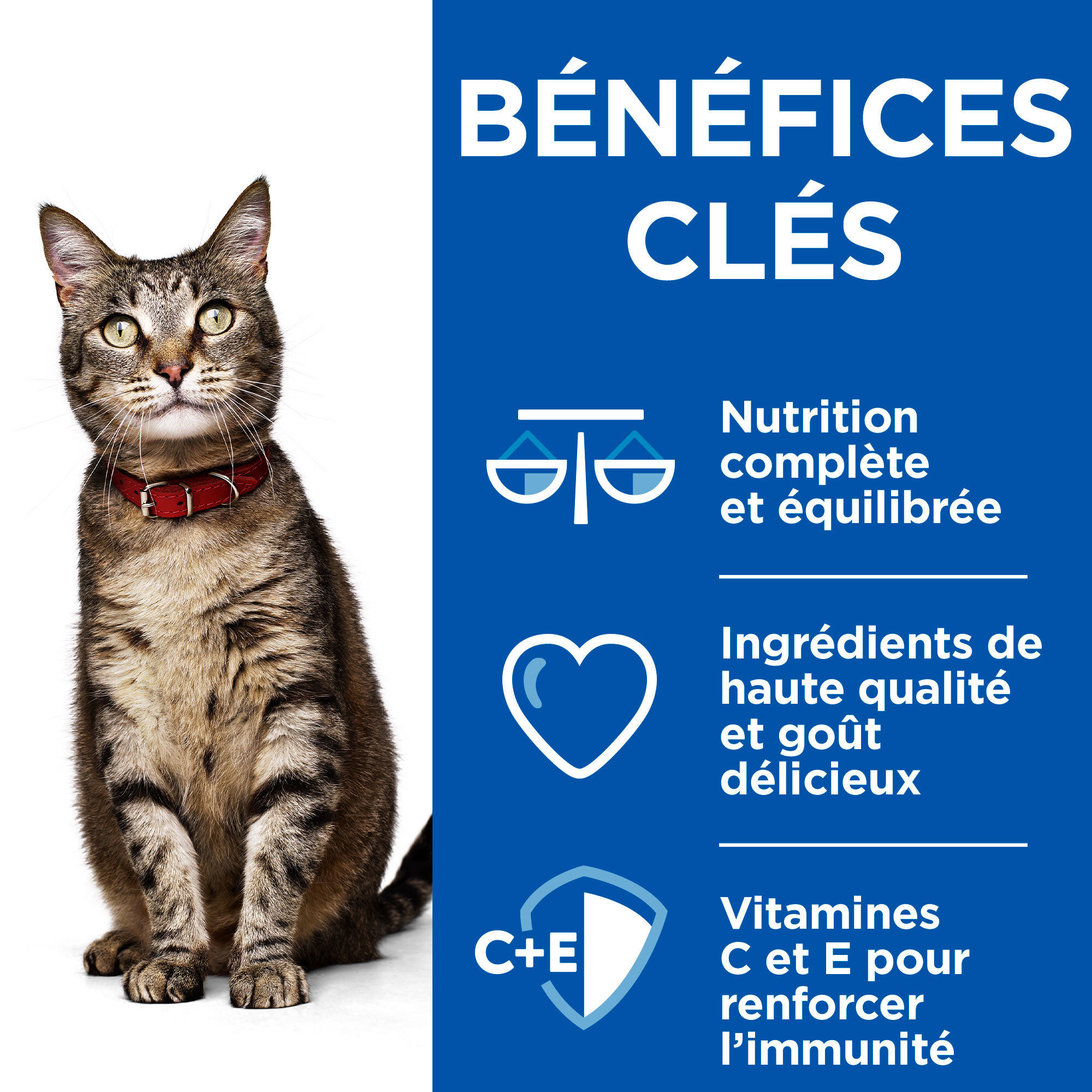 Hill&rsquo;s Science Plan Heathy Cuisine Mijot&eacute;s Pour Chat Adulte Au Poulet Et L&eacute;gumes Ajout&eacute;s  - 12x80g Image num&eacute;ro 10