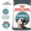 Royal Canin - Croquettes Hairball Care pour Chat - 10Kg Indicateur image numéro 1