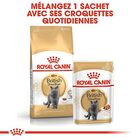 Royal Canin - Croquettes British Shorthair pour Chat Adulte - 2Kg image number null