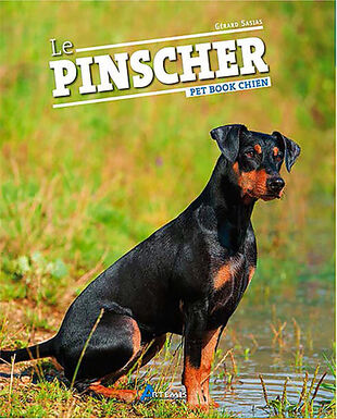 Artémis - Le Pinscher