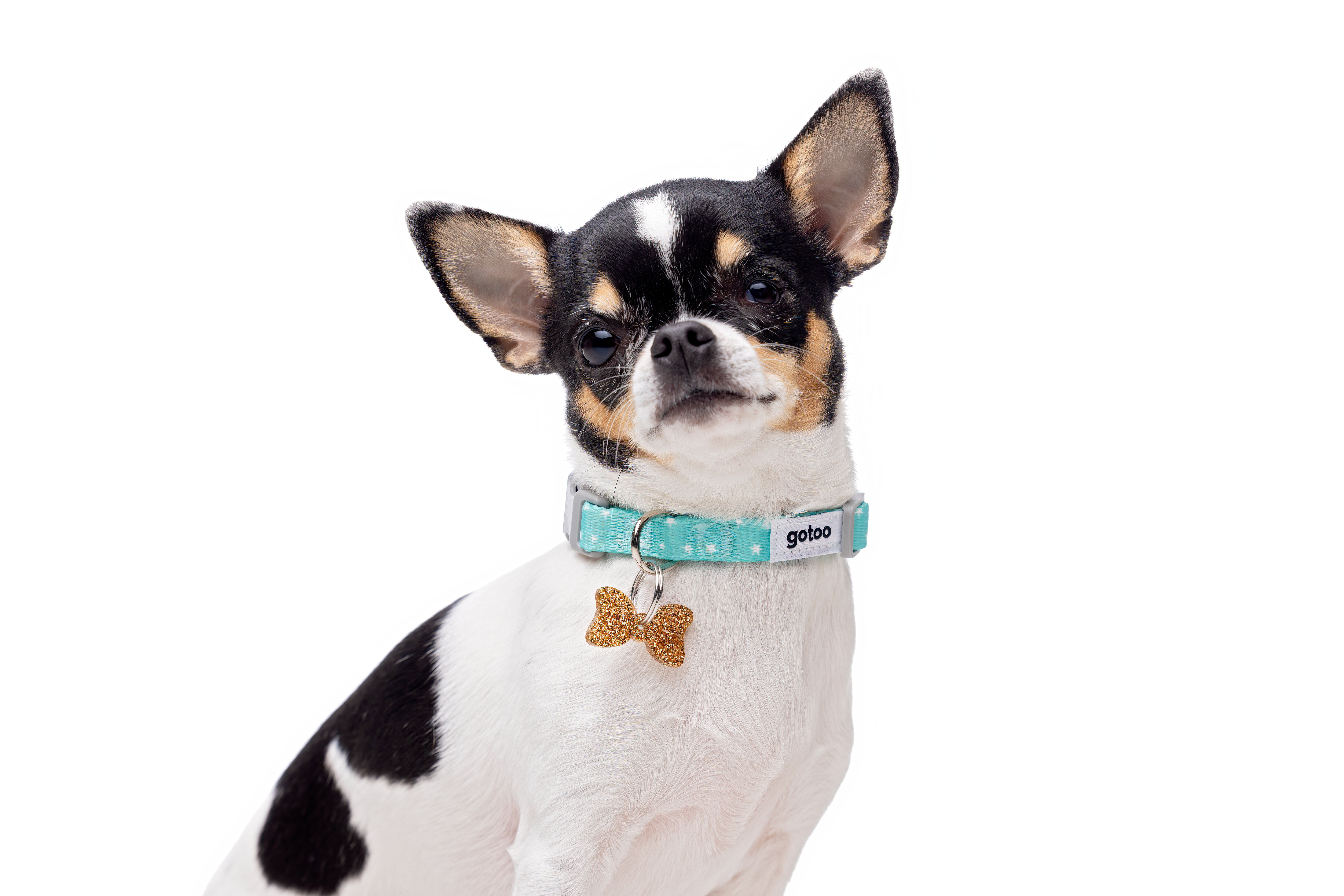 Gotoo - Set Etoiles Bleu pour Chiot Image num&eacute;ro 7