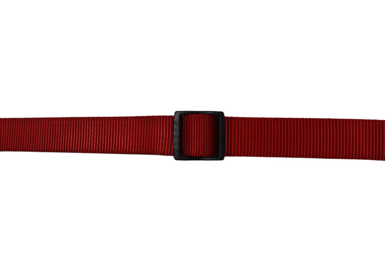 Gotoo - Collier Essentials en Nylon Rouge pour Chien - XS Image numéro 2 Gotoo - Collier Essentials en Nylon Rouge pour Chien - XS Image numéro 2