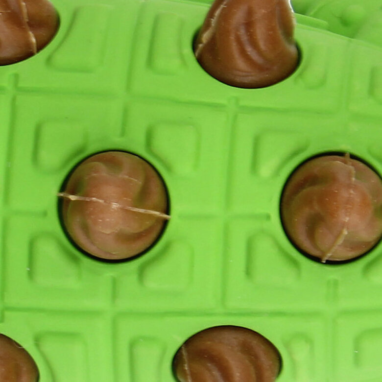 Tootoy! - Jouet 2 en 1 Crocodile Image numéro 6 Tootoy! - Jouet 2 en 1 Crocodile Image numéro 6