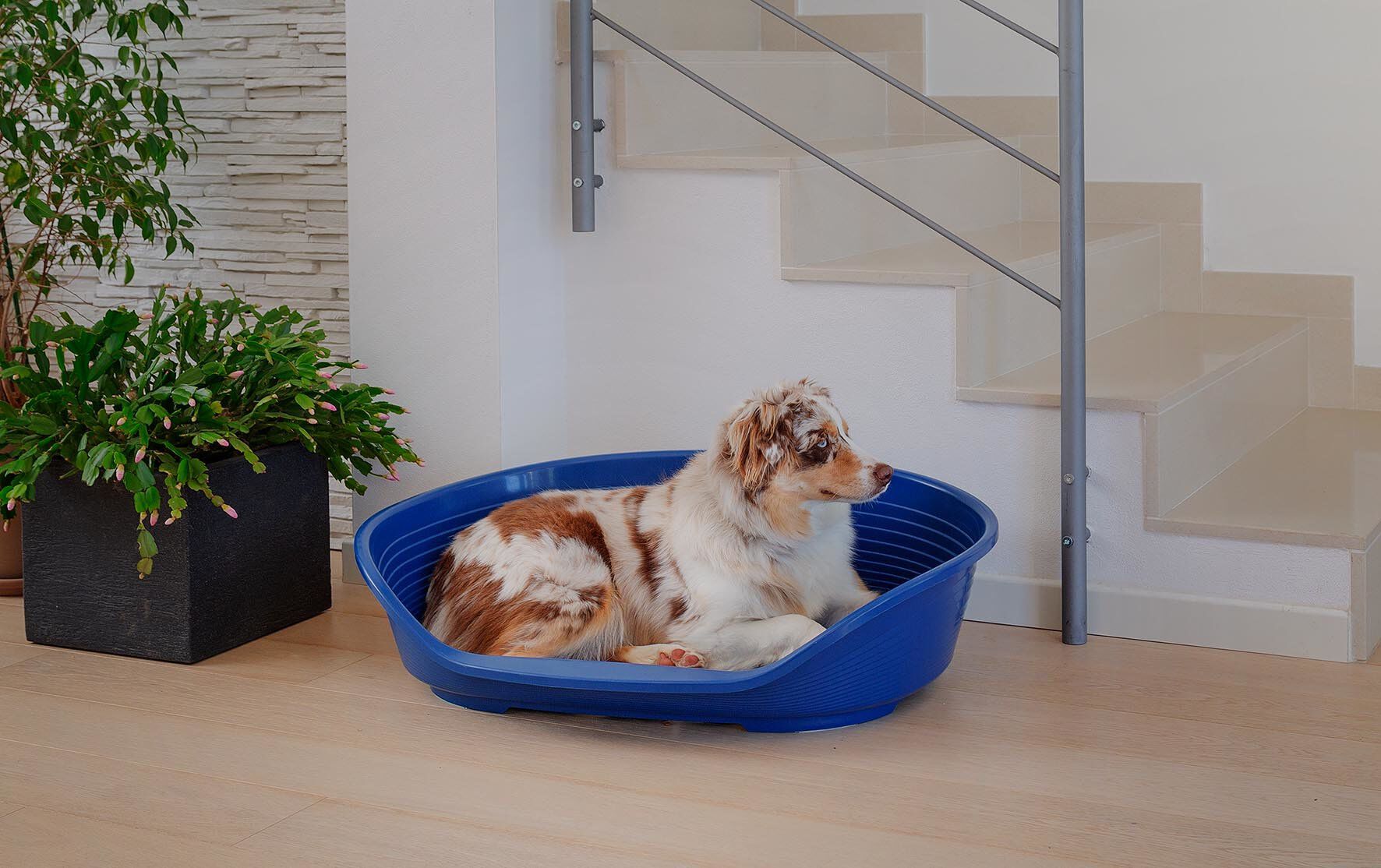 Ferplast - Corbeille Siesta Deluxe 8 Bleu pour Chiens Image num&eacute;ro 4