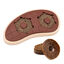 PetSafe - Jouet Steak Slab o’ Sirloin pour Chiens - S/M Indicateur image numéro 2