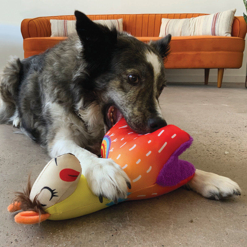 KONG - Jouet Lama Ballistic Vibez pour Chiens - S/M Image num&eacute;ro 5