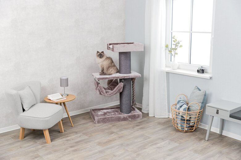 Trixie - Arbre à chat XXL Ramon Cappuccino pour Chat - 133cm Image numéro 10 Trixie - Arbre à chat XXL Ramon Cappuccino pour Chat - 133cm Image numéro 10