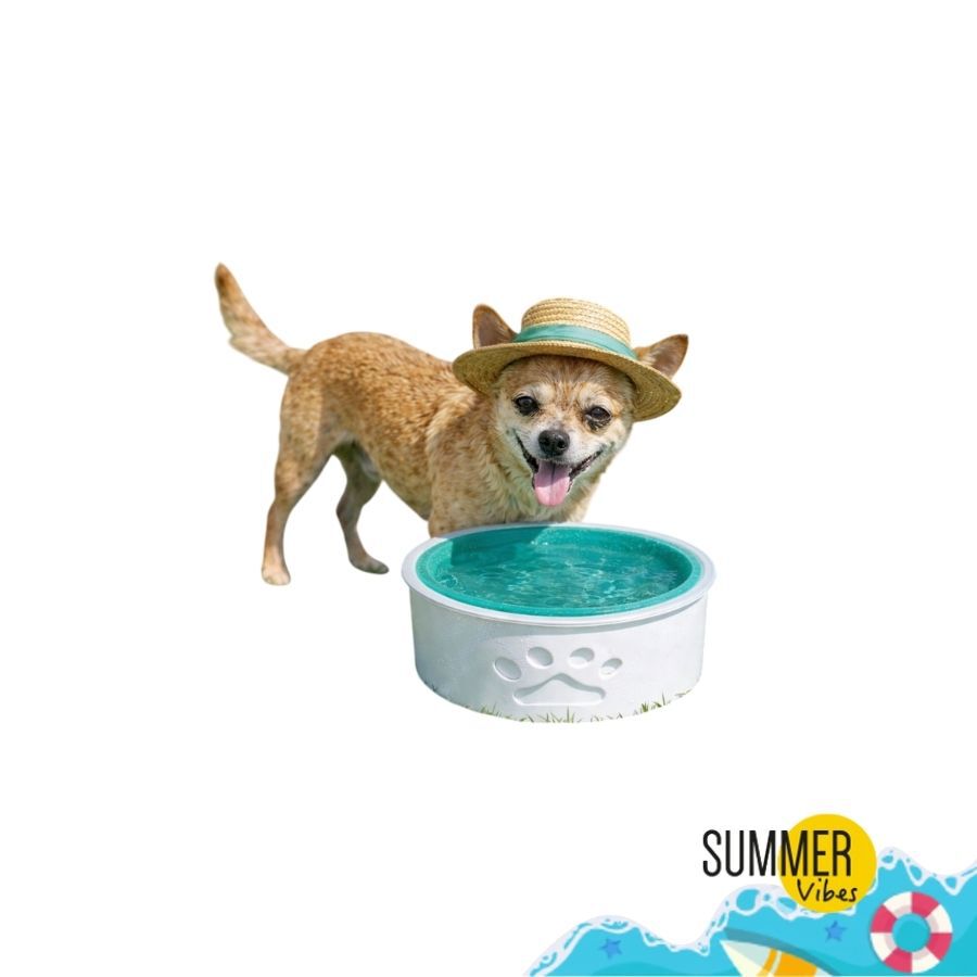 Summer Vibes - Bol Rafra&icirc;chissant pour Chiens - 22cm Image num&eacute;ro 1