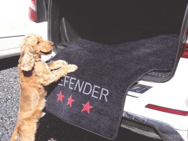 Wouapy - Tapis de Coffre DEFENDER pour Voiture - 155x100cm Image num&eacute;ro 1