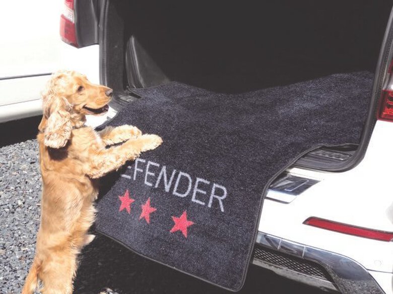 Wouapy - Tapis de Coffre DEFENDER pour Voiture - 155x100cm Image numéro 1 Wouapy - Tapis de Coffre DEFENDER pour Voiture - 155x100cm Image numéro 1