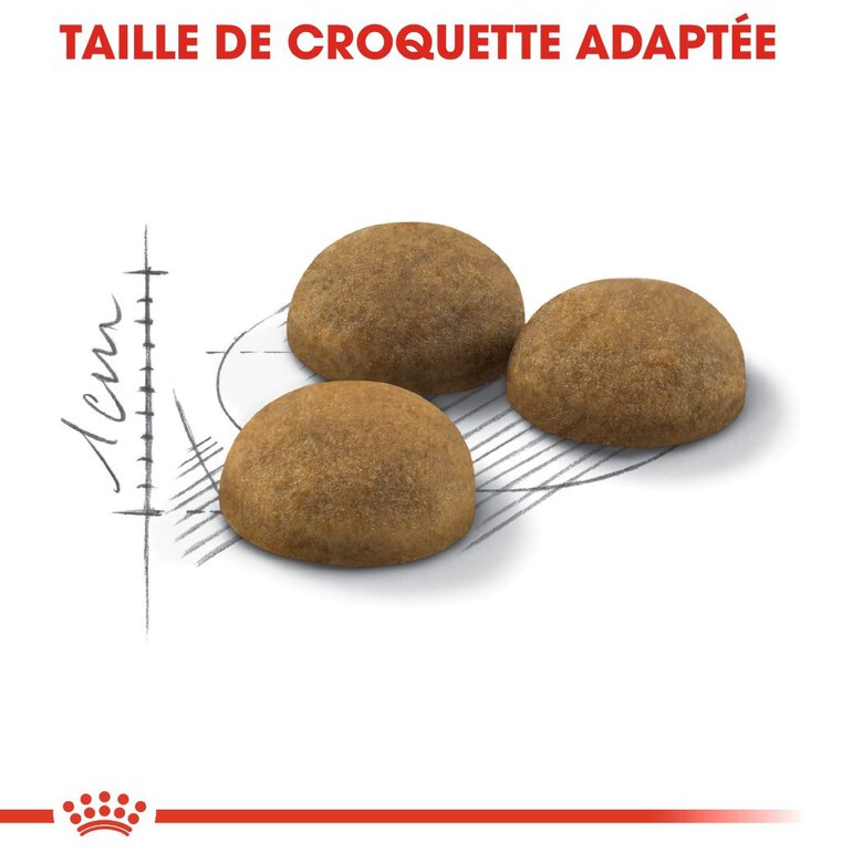 Royal Canin - Croquettes Indoor Long Hair pour Chat - 4Kg Image numéro 4 Royal Canin - Croquettes Indoor Long Hair pour Chat - 4Kg Image numéro 4